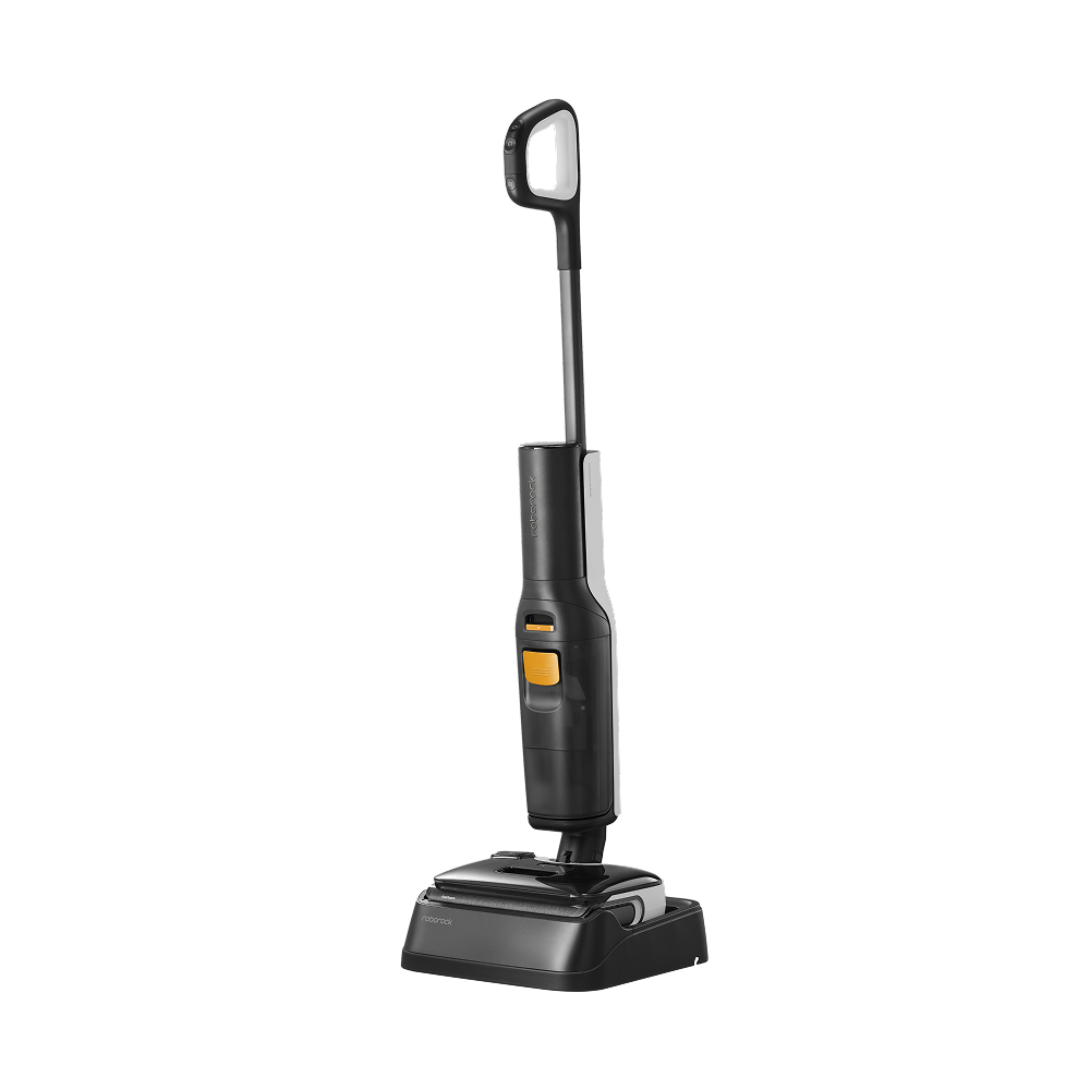 Roborock F25 BX